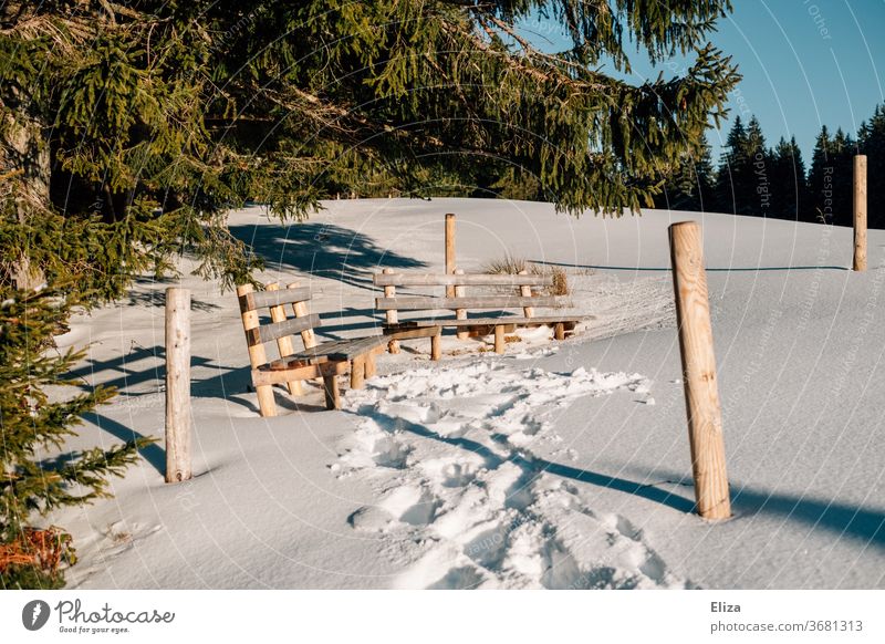 Two wooden benches in a snowy landscape with sunshine in winter Winter Snow Trip Landscape seat Nature Forest Beautiful weather White Deserted Winter vacation