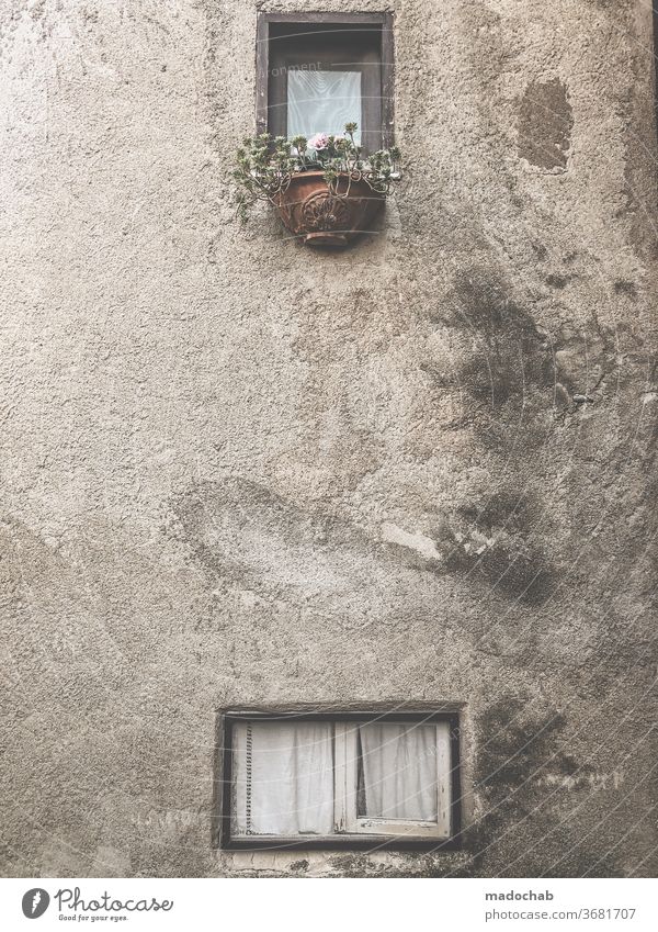 sea of flowers Facade House (Residential Structure) Window Broken Old Gloomy Decline Redecorate Transience Wall (barrier) Ruin Past Destruction built