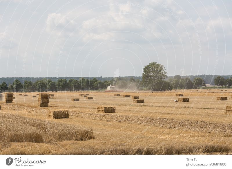 Harvest in the Lausitz Lausitz forest Brandenburg Field Sky Landscape Exterior shot Clouds Nature Deserted Colour photo Environment Beautiful weather Day