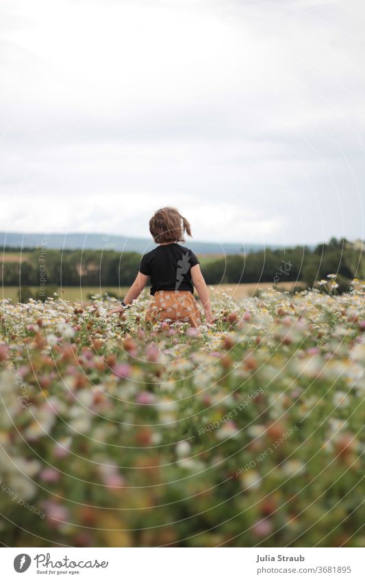 little girl walks over a camomile clover field with a great view Ecotourism ecologic Skirt Short-haired Clover blossom camomile field Meadow flower Nature green