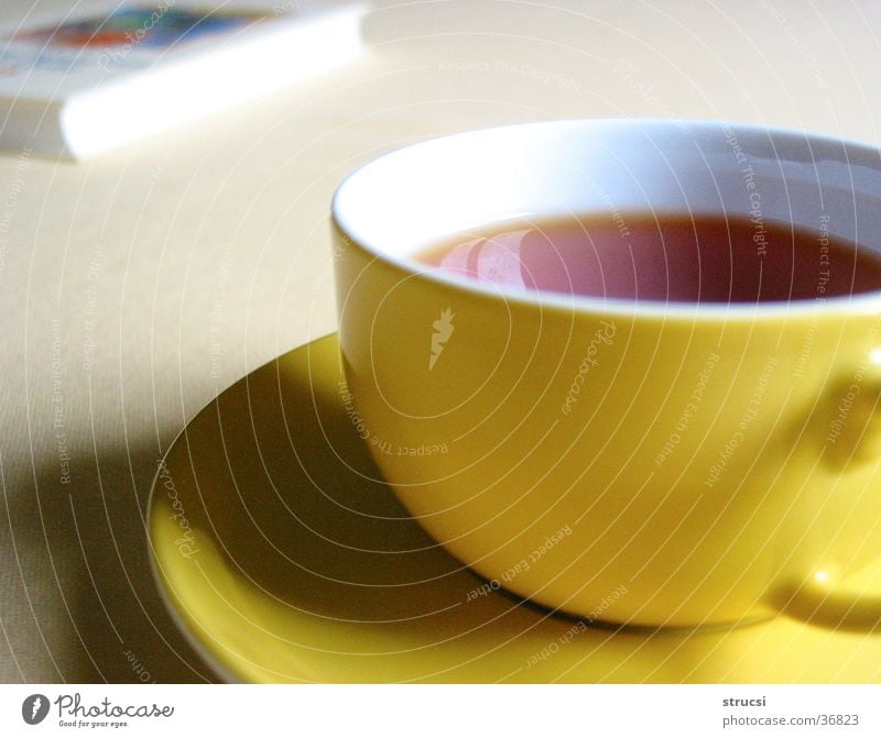 cup Beverage Hot drink Tea Cup Relaxation Calm Yellow Cozy Warm-heartedness To enjoy Colour photo Close-up Deserted Shallow depth of field Book Round Shadow