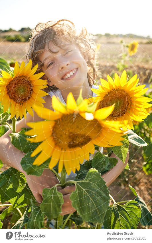 Happy boy in sunflower field child summer smile enjoy nature sunlight teenage kid carefree stand countryside happy cheerful childhood meadow relax delight
