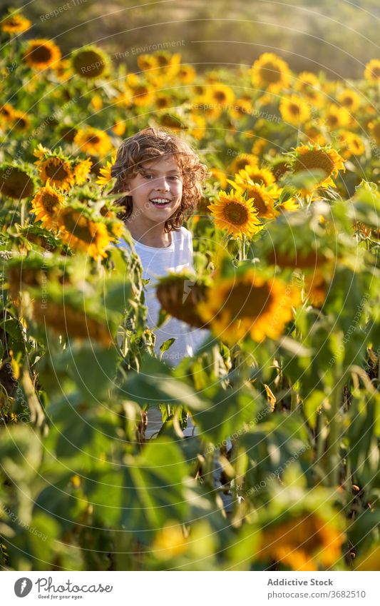 Cute child in blooming sunflower field boy enjoy summer meadow blossom preteen nature happy smile countryside cheerful green yellow color kid vivid vibrant male