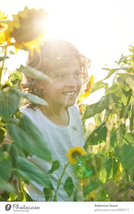 Cute child in blooming sunflower field boy enjoy summer meadow blossom preteen nature happy smile countryside cheerful green yellow color kid vivid vibrant male