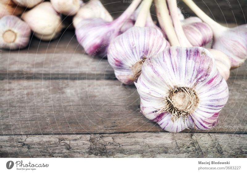 Close up picture of fresh organic garlic on a wooden table. garden agriculture vegetable food rustic dirt spice close up raw healthy bulb countryside natural