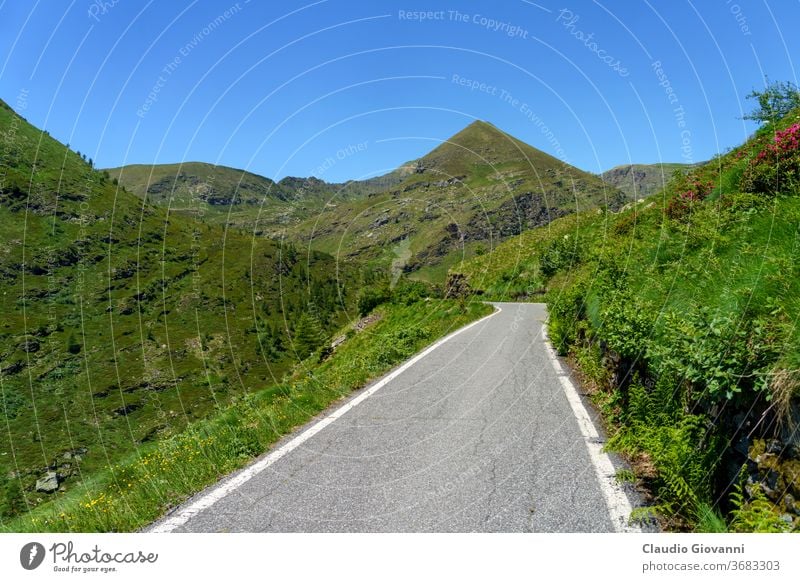 Mountain landscape along the road to Vivione pass Bergamo Europe Italy Lombardy Schilpario color day green mountain nature photography plant scenic summer sunny