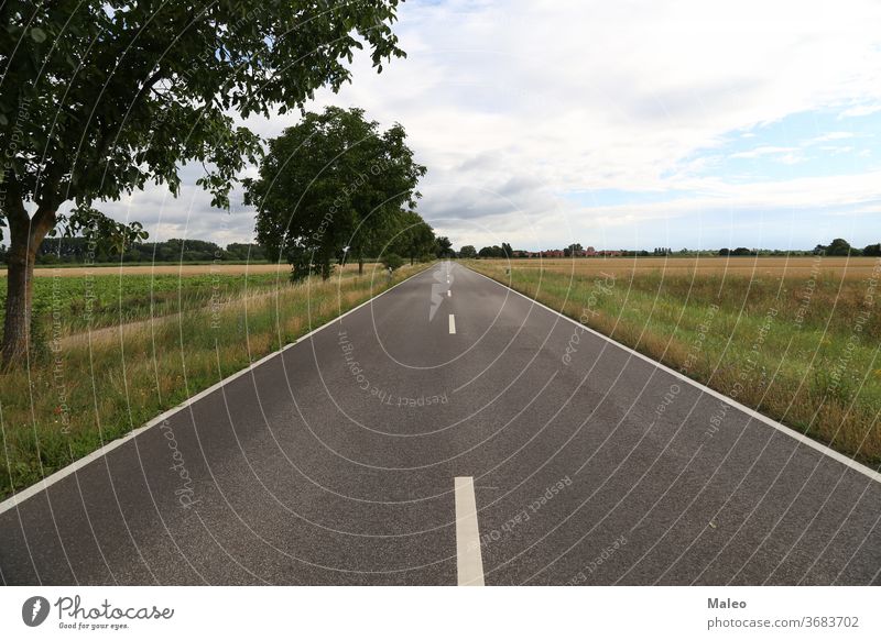 Rural asphalt road will land in the horizon background landscape rural sky travel blue country drive field grass nature scenic summer way beautiful natural