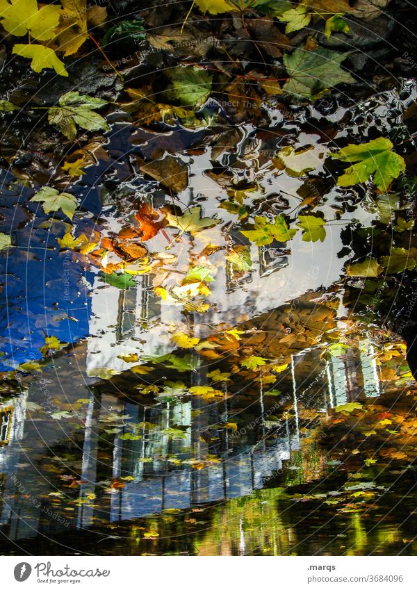 Peel off Reflection Autumn Water Leaf House (Residential Structure) Architecture Cloudless sky Perspective optical illusion