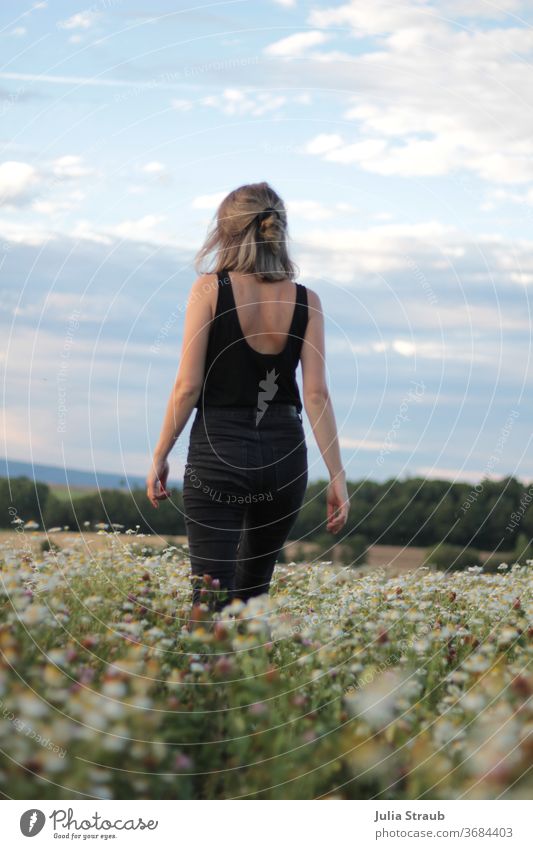 Young woman walks across a camomile field Camomile blossom Landscape Nature Woman youthful already Rear view Backless Black Forest Clouds Sky Summer warm