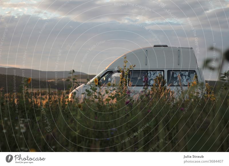 Camper van stands wonderfully in the evening light between hills and flower field in the evening light Camping Bus wildcamping High roof Flower meadow Hippie
