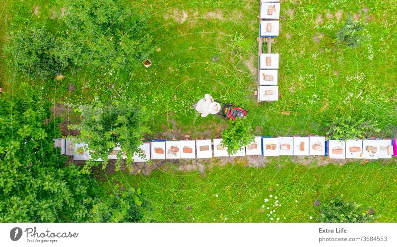 Aerial view of beekeeper as he mowing a lawn in his apiary with a petrol lawn mower Above Apiarist Apiary Apiculture Arranged Beehive Beekeeper Bees Cap Clipper