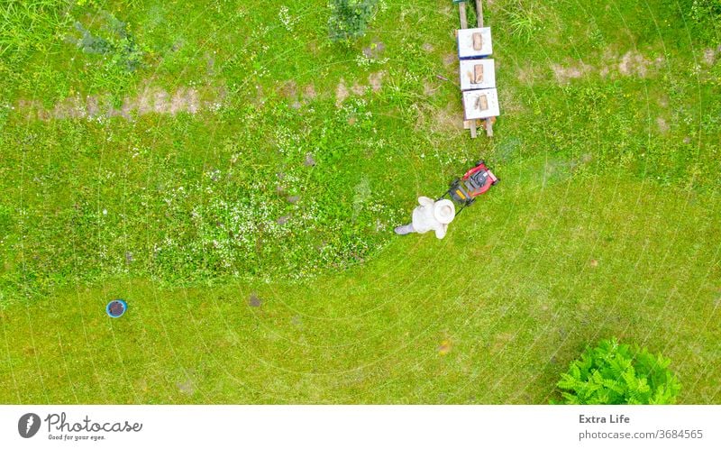 Aerial view of beekeeper as he mowing a lawn in his apiary with a petrol lawn mower Above Apiarist Apiary Apiculture Arranged Beehive Beekeeper Bees Cap Clipper
