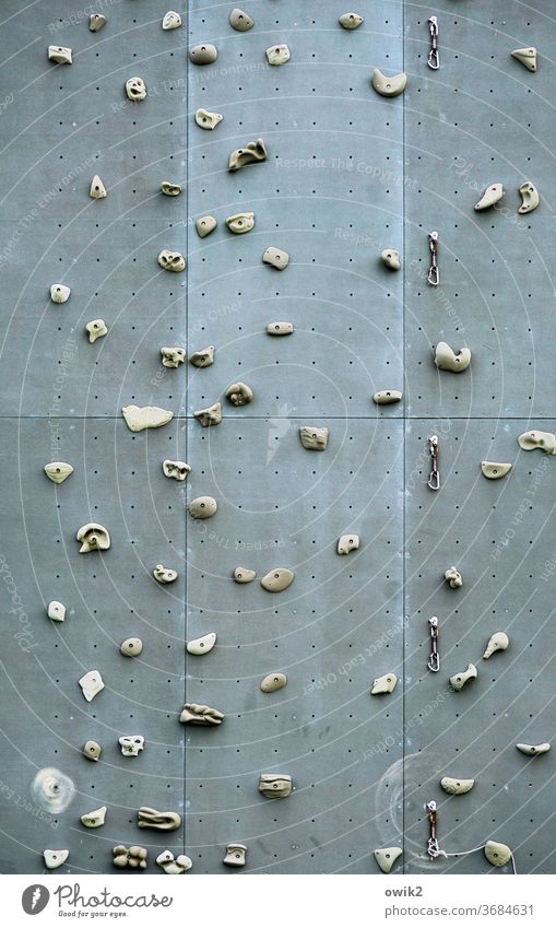Take it. Climbing wall climbing grips Lifestyle Fitness Climbing facility Day Mountaineering Wall (building) Leisure and hobbies Colour photo Sports Bouldering