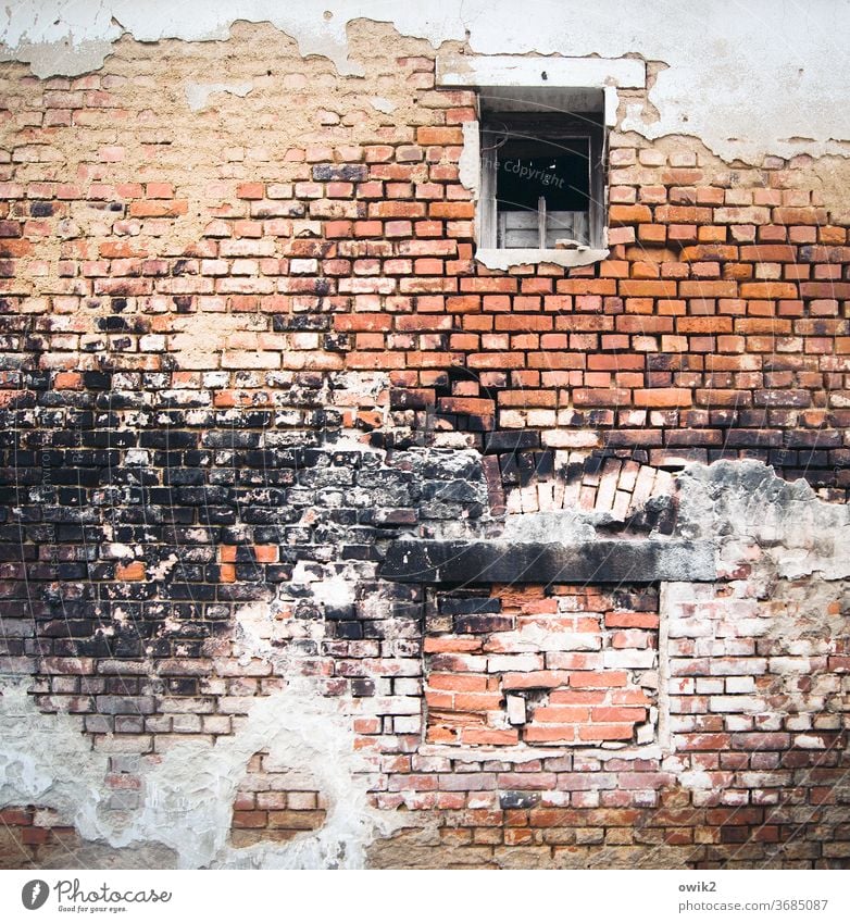 firewall Colour photo Old Exterior shot Wall (barrier) Wall (building) Deserted Brick wall Ravages of time Detail Facade Pattern Building Structures and shapes