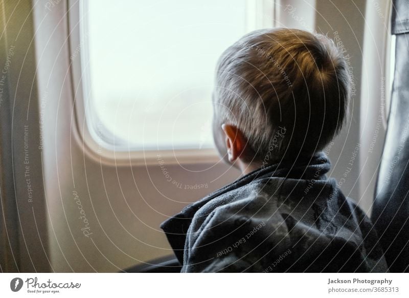 Toddler looking through airplane window boy toddler travel curious small caucasian face view indoor concept cute seat indoors watch trip leisure lifestyle child