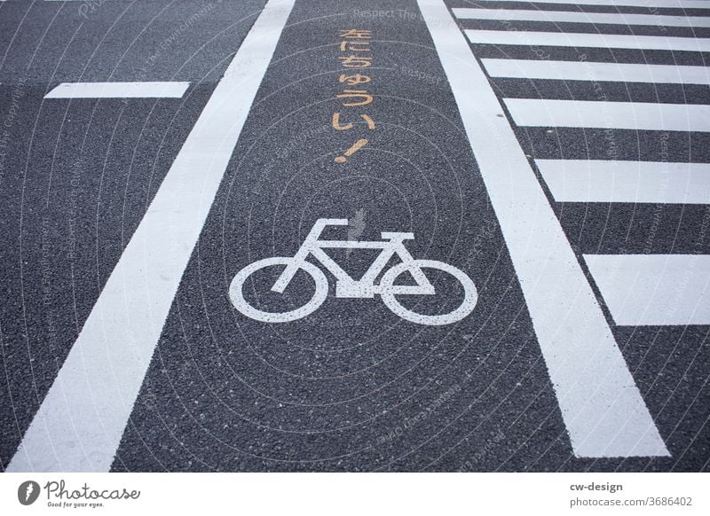 bike path on Japan Cycle path Bicycle Driving Lanes & trails off Road marking Road junction Street Transport Cycling Traffic infrastructure Means of transport