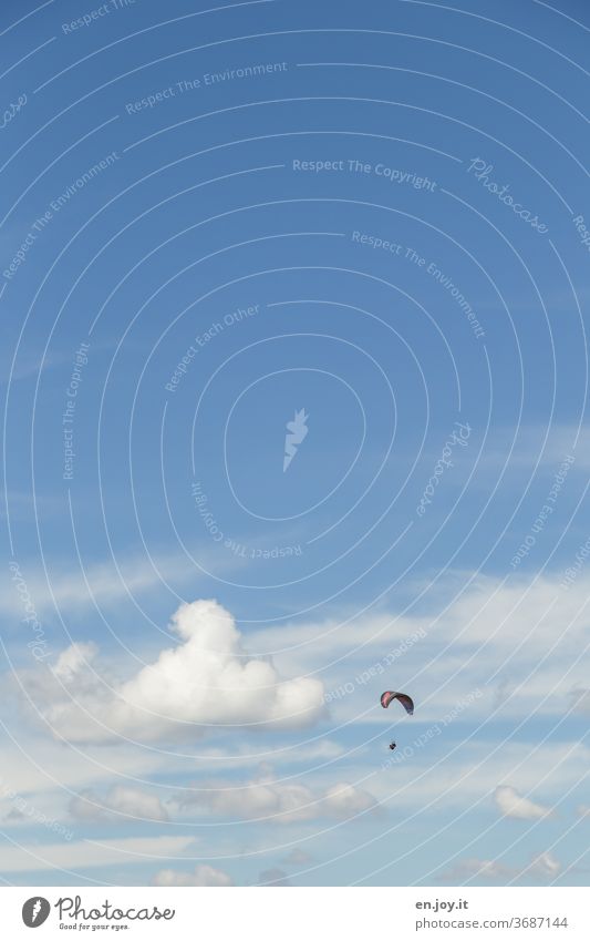 freedom Sky Clouds Paraglider Paragliding Glider flight Flying Freedom wide Blue Brave Adventure Beautiful weather Sports Leisure and hobbies Air Wind Joy