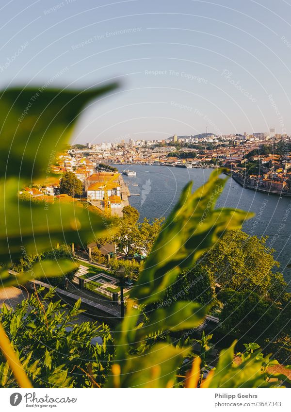Porto architecture building exterior built structure city cityscape porto portugal viewpoint foreground depth of field river summer warm colors summer feelings