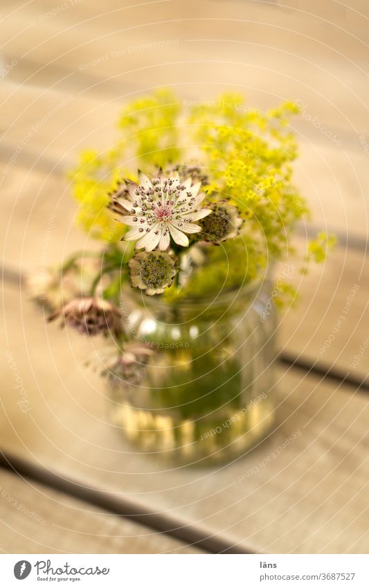Flowers in vase flowers Vase Bouquet bleed Decoration Deserted Blossoming Colour photo Table Gastronomy