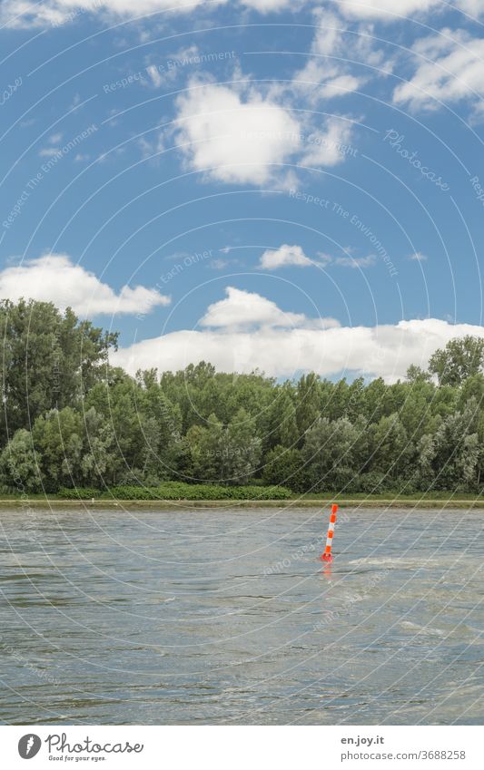 The Rhine River River bank stream Water Flow running waters Buoy mark Landscape green Forest Signs and labeling Navigation peril danger spot hazard area