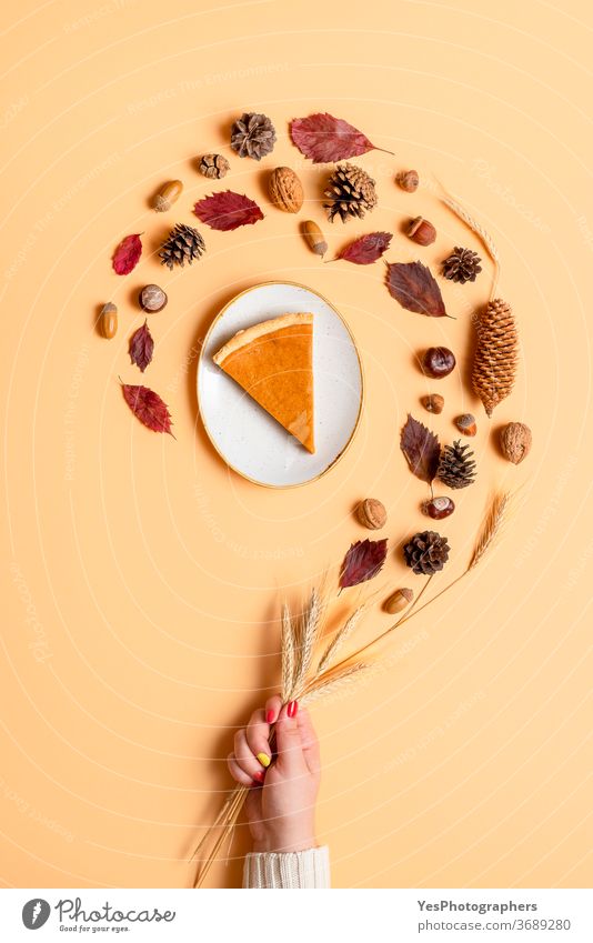 Autumn composition with pumpkin pie and forest objects. Thanksgiving day concept November October above view acorns autumn background beige brown colors cones