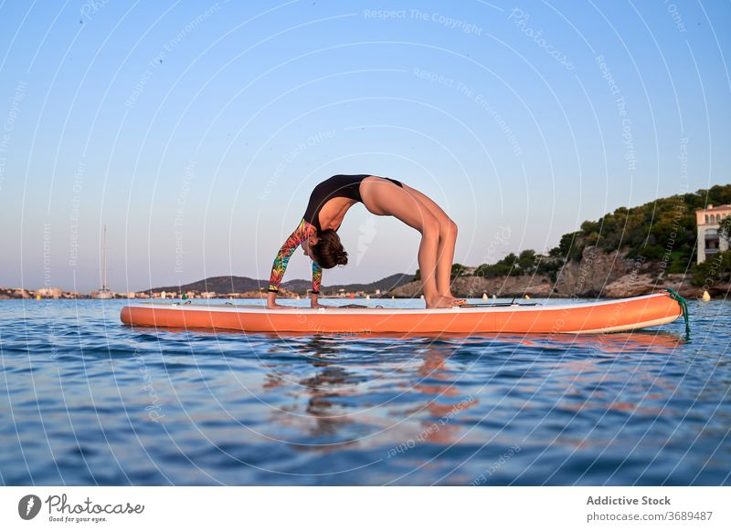 Flexible female surfer doing yoga in Wheel pose wheel pose practice woman asana flexible paddleboard sea harmony swimsuit evening twilight sundown relax water