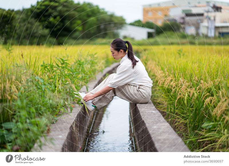 Ethnic woman relaxing near rice fields irrigate canal nature green summer weekend cultivate female ethnic asian stone border rest sit water aqua calm tranquil