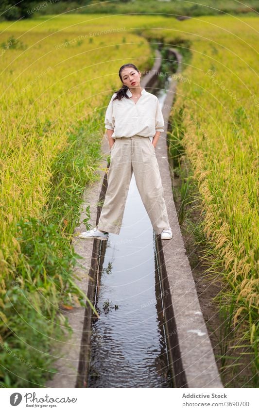 Asian woman in lush rice field water canal irrigate green calm summer season female ethnic asian fresh healthy agriculture tranquil natural plant rural lady