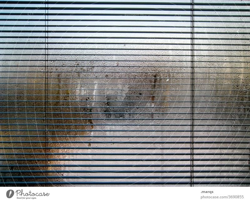 privacy screen Window steamed-up window Dew Damp Line Venetian blinds Hazy opaque Misted up Drops of water Window pane