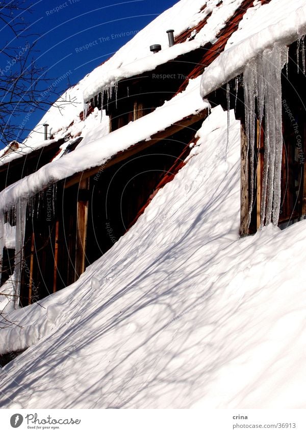 House in winter House (Residential Structure) Roof Icicle White Living or residing Snow Ice