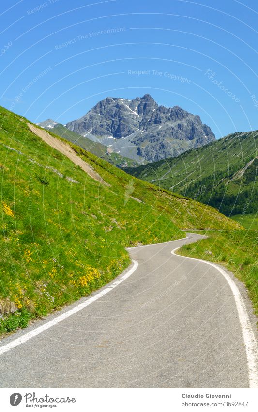 Mountain landscape along the road to Crocedomini pass Brescia Europe Italy June Lombardy color day green mountain nature photography plant scenic summer sunny