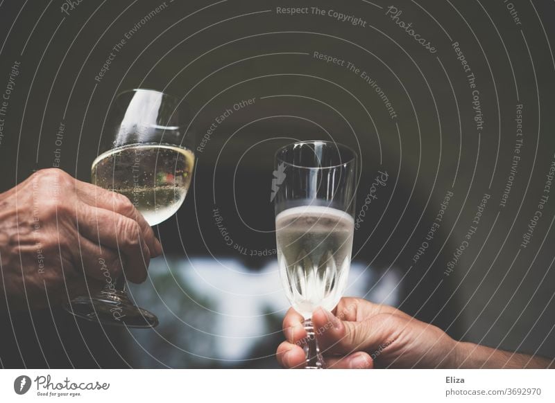 Cheers. Two people toasting with prosecco or champagne. Prosecco Sparkling wine Toast celebrations Alcoholic drinks Champagne Champagne glass Glass Beverage