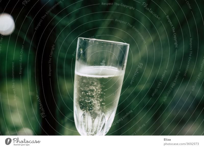 Champagne glass with Prosecco in the green Alcoholic drinks Sparkling wine Beverage sparkling pearly Glass