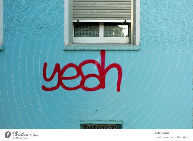 yeah Lettering embassy Design Colour Graffiti graffiti Grafitto Wall (barrier) Message writing tagg typo typography Vandalism Wall (building) Word she loves you