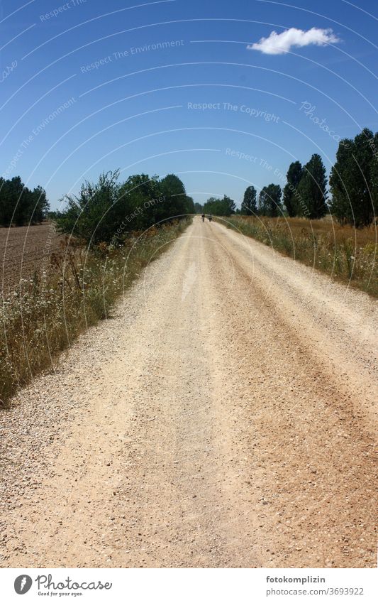 dead straight gravel path with a small cloud in the sky in summer Lanes & trails off Gravel path off the beaten track Country road Hot little cloud Landscape