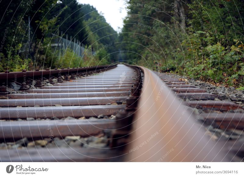 Railway line through the forest Railroad tie railway line Rail transport rails Railroad tracks Transport Traffic infrastructure Means of transport Train travel
