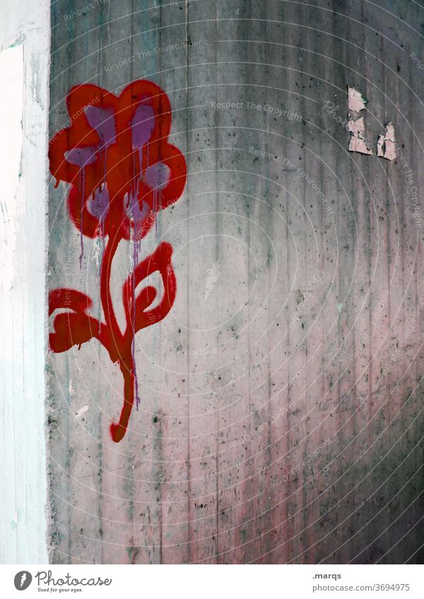 flower Flower Graffiti street art Wall (building) Concrete Gray Red Mural painting Symbols and metaphors