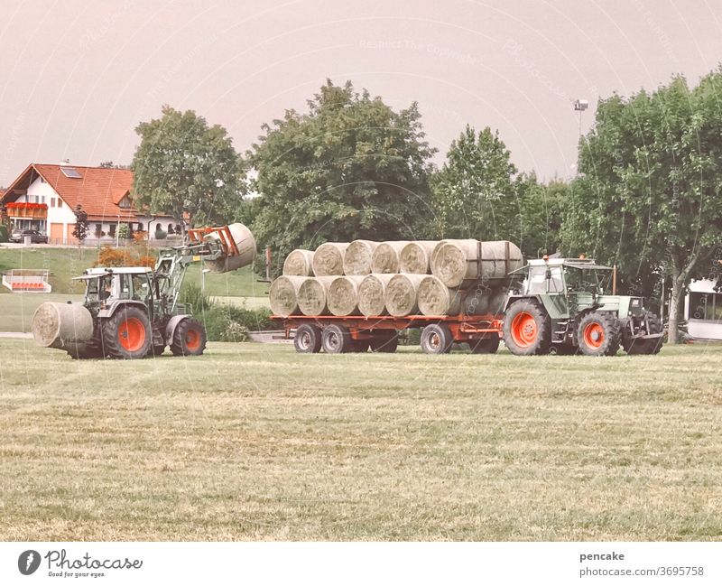 systemrelevant | gesunde landwirtschaft Landwirtschaft ländlich Gras Heu Heuballen Ernte nachhaltig Traktor
