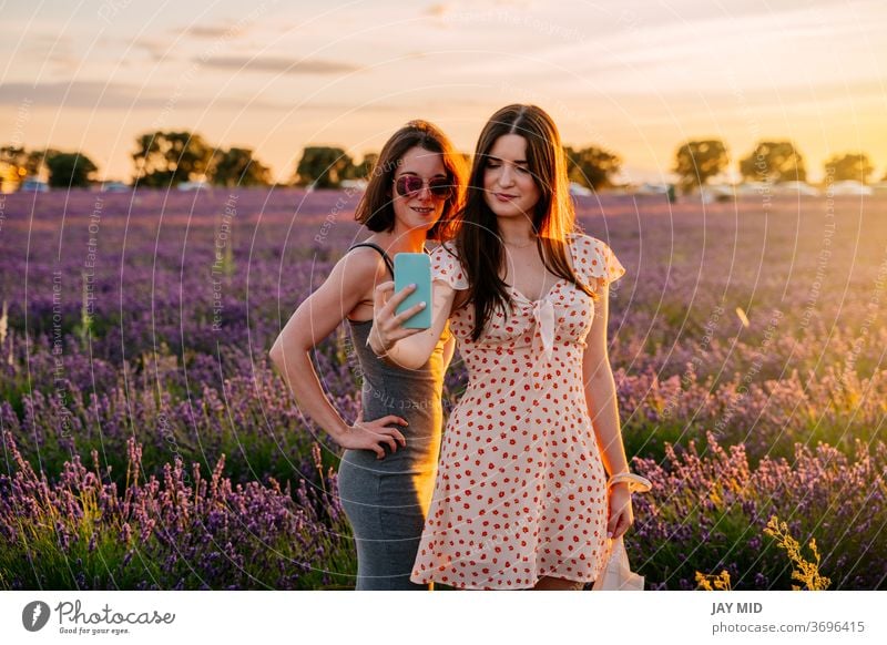Two friends take photos with their mobile phone in a field of blooming lavenders woman´s two holiday make photos selfie summer vacation blossom enjoy fun play