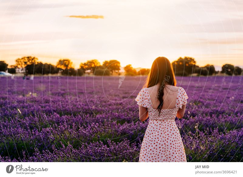 woman in a dress walks through a field of blooming lavenders, during sunset. During the summer holidays beautiful nature flower natural walking freedom spain