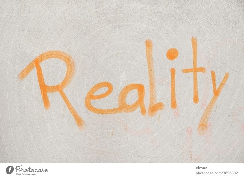 "Reality" is written in orange on the gray wall reality Opinion Wall (building) Graffiti Lifestyle English Orange Gray Facade Characters Communication Clue Daub