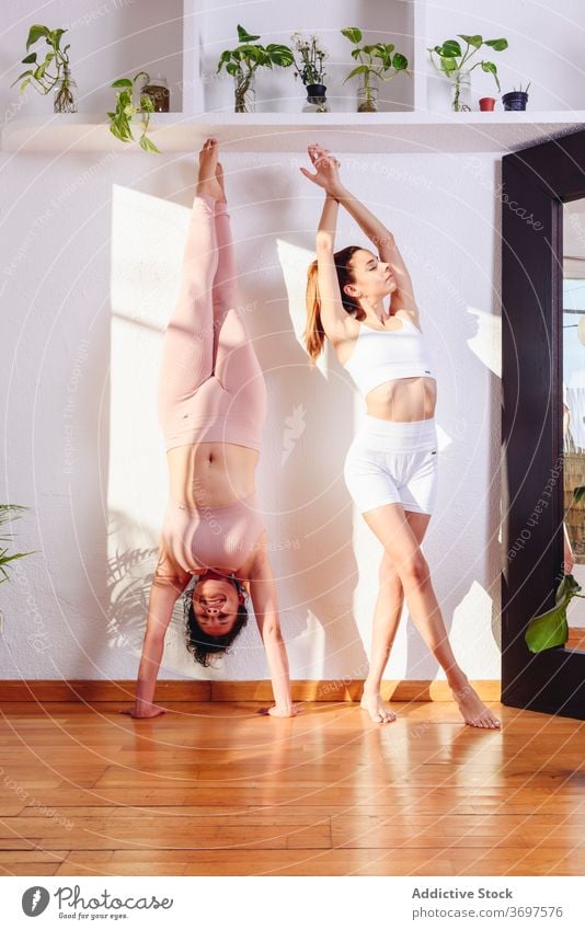 Tranquil women practicing yoga together at home practice flexible handstand mountain pose tranquil healthy balance asana wellness stretch harmony body friend