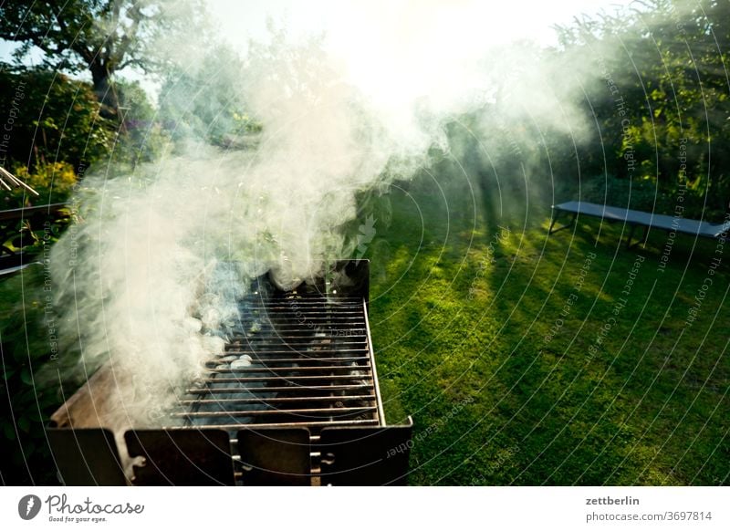 Grill with smoke Burn Relaxation holidays Fire Garden Grass Barbecue (apparatus) BBQ Sky allotment Garden allotments Deserted Nature Lawn Smoke tranquillity