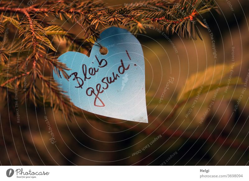 Keep well! - on a white heart of paper, on a fir branch in the forest Stay healthy Healthy wish Text Word writing gesture nice Fir branch Heart Paper Love