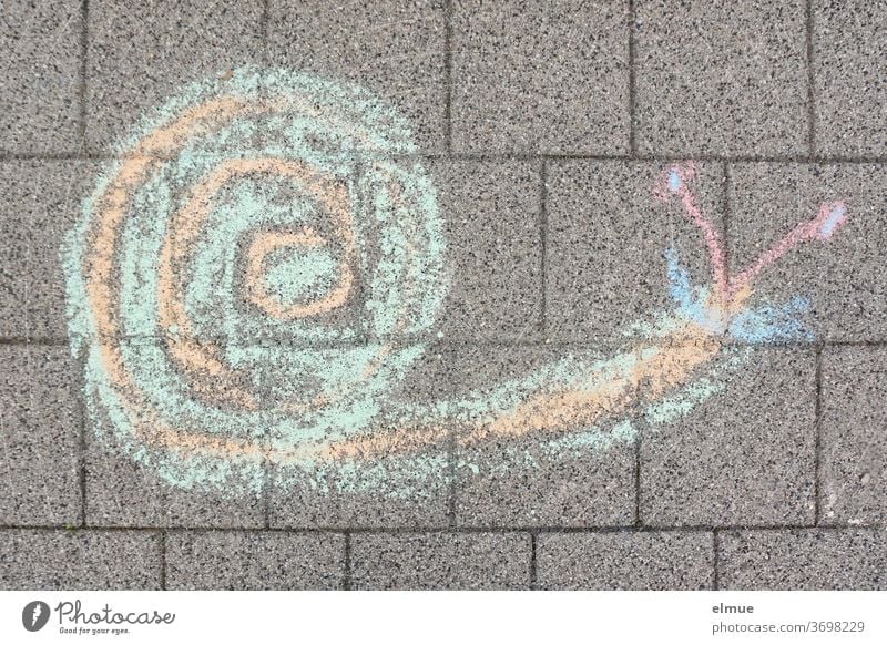 A child has painted a snail on the grey pavement with coloured crayon Crumpet paving Children's drawing snail mail plan Drawing Animal