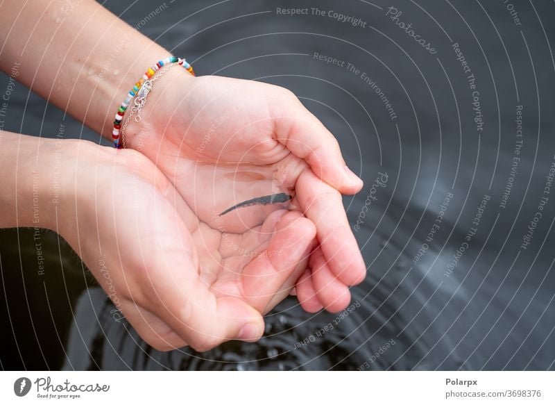 Catching a small fish by hand in a dark river care species human caucasian aquarium fun fisherman creature hobby angling kids lake activity surface release