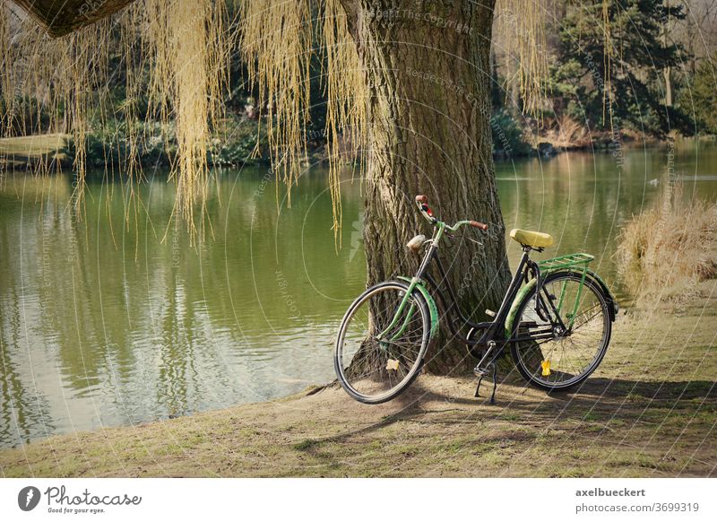old bicycle under a tree bike park vintage nature leisure lake outdoor recreation sport activity lifestyle retro pond landscape green biking filter instagram