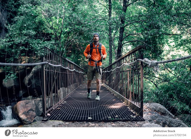 Traveling man on bridge in forest traveler vacation admire suspension carefree beard wanderlust male adventure amazing nature woods trekking hike holiday