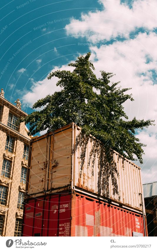 container tree Container unusual Whimsical Storage container differently Town Sky Summer Clouds Beautiful weather Nature logistics Transport Growth Environment