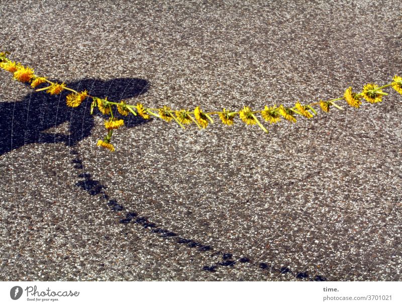 Flower band >< Atomic energy country | Opposites flowers Sunflower flower chain Shadow Human being Street Demonstration stop Band Yellow Asphalt Pavement